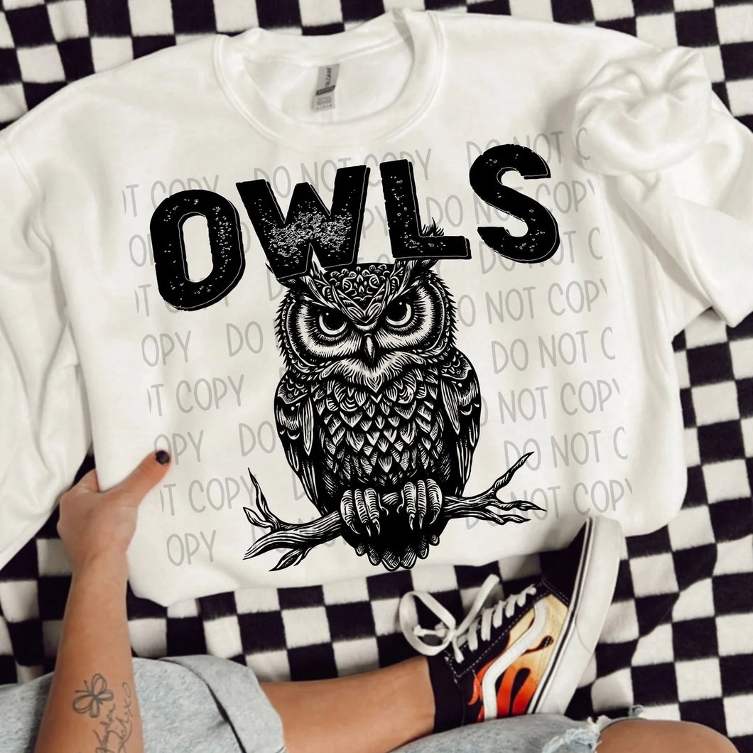 Owls
