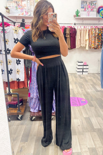 Crop Top and Pleated Wide Leg Pants Set